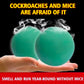 Rat Insect Repellent Balls For Home Protection